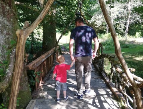 Meublé de Tourisme l'éveil de la forêt_10