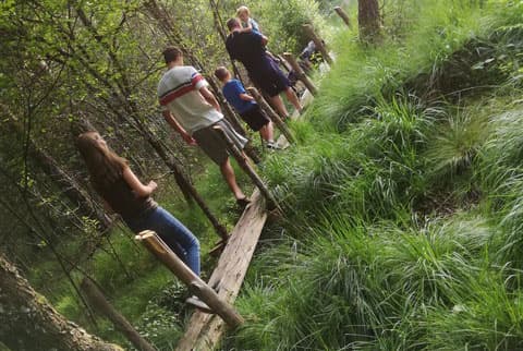 Meublé de Tourisme l'éveil de la forêt_12