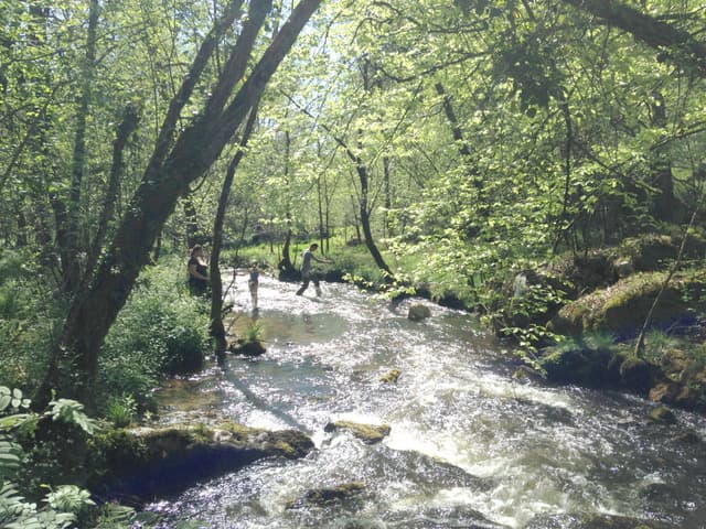 Meublé de Tourisme l'éveil de la forêt_13