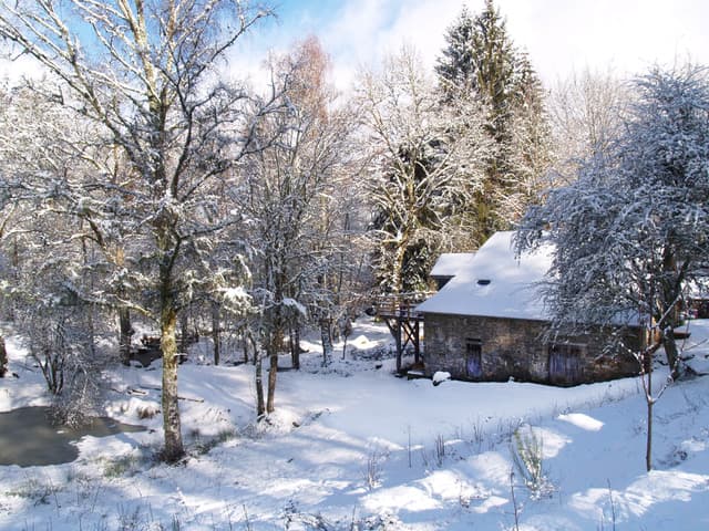 Meublé de Tourisme l'éveil de la forêt_14