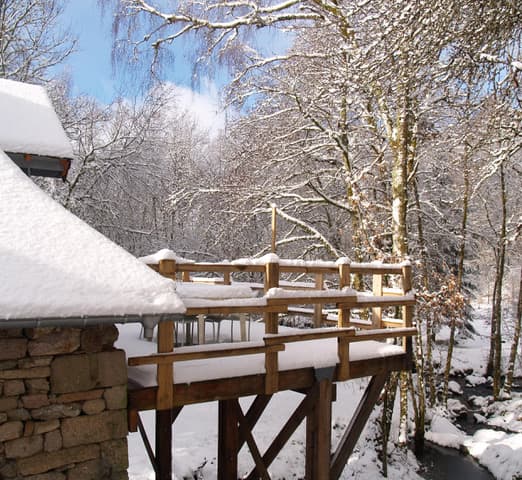 Meublé de Tourisme l'éveil de la forêt_15