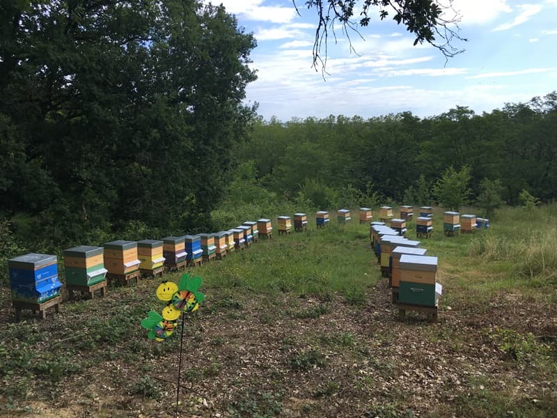 Exploitation agricole DELEPLANQUE -