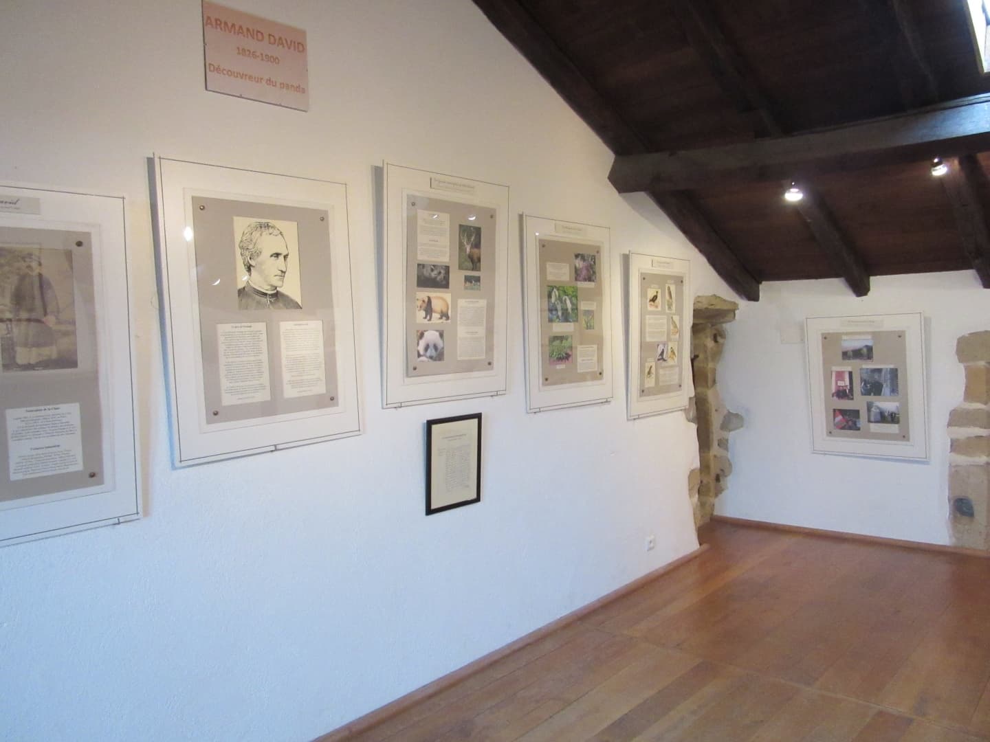 Expo - Armand David