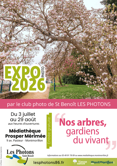 Expo photo Arbres