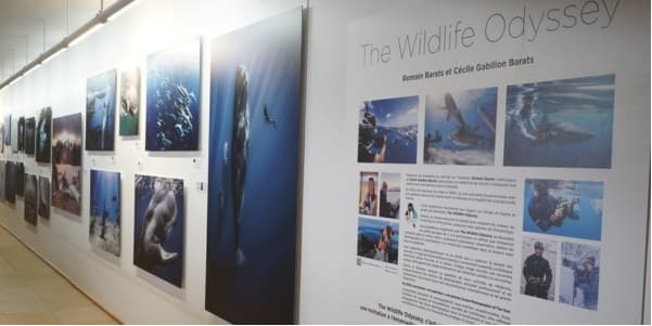 Exposition Cité de l'Océan