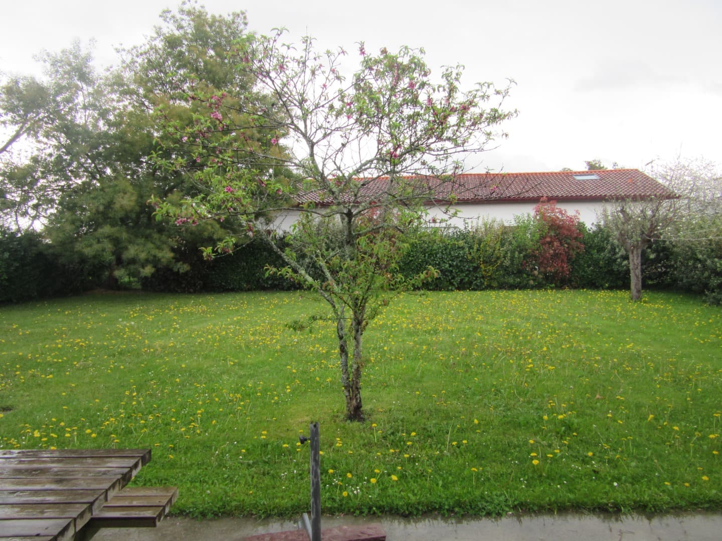 Eyharts - Jardin