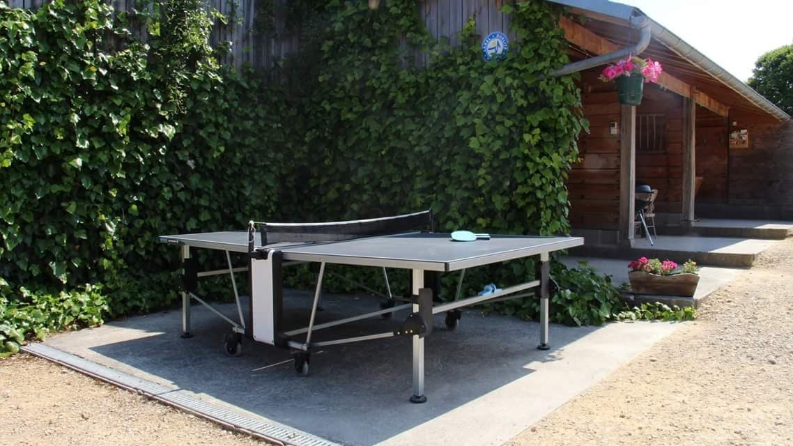 Appentis pour bois, espace repas, jeux de plein air, chaises longues, barbecue