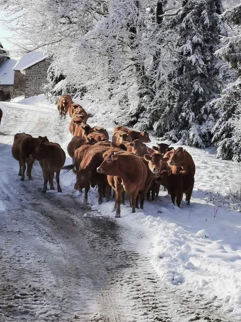 Prés environnants durant un hiver de neige_20