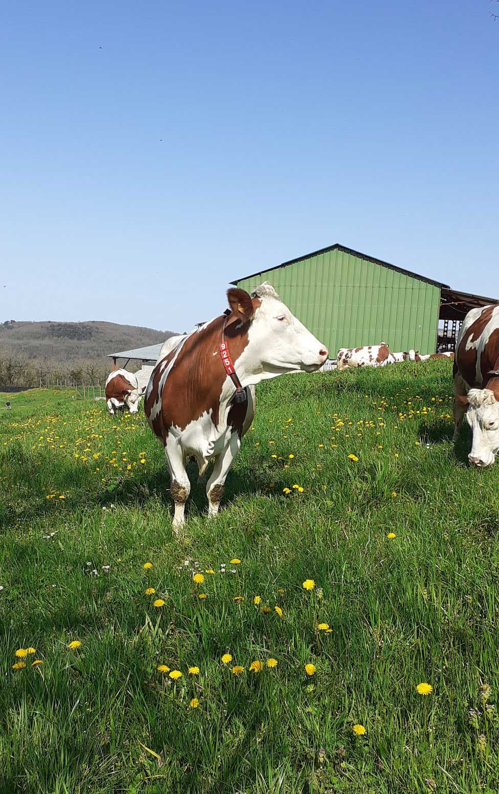 Ferme de la brunie