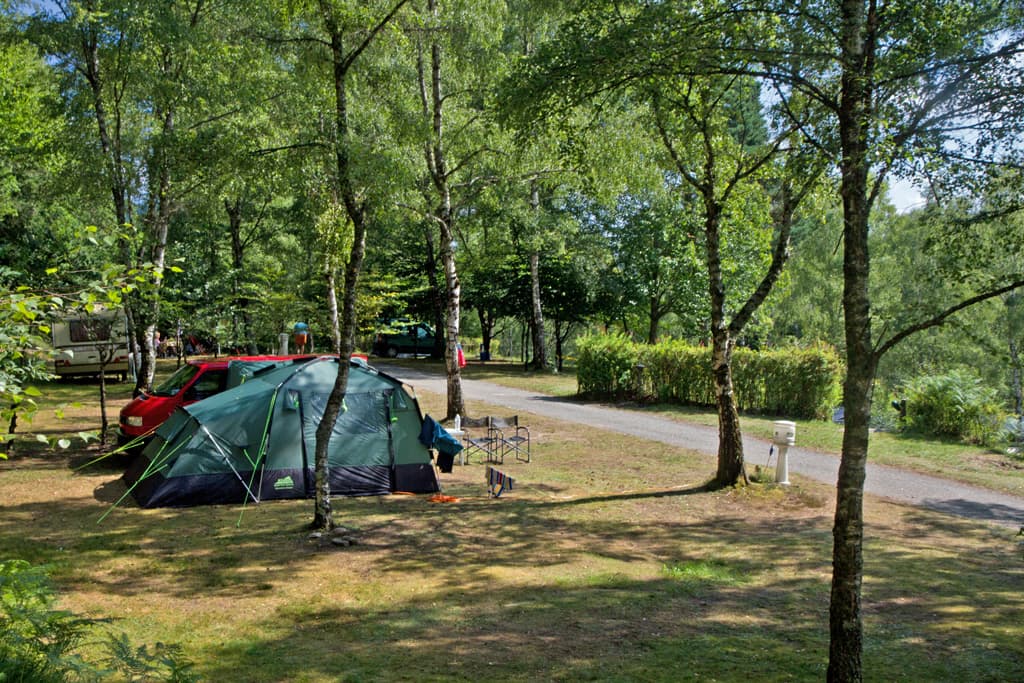 Flower camping la Plage_2
