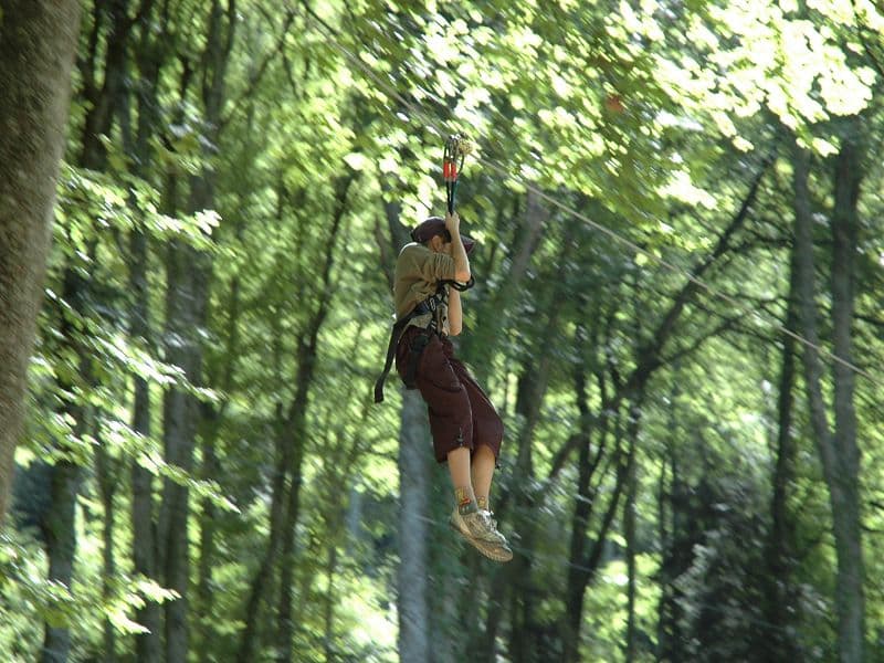 FORET SUSPENDUE