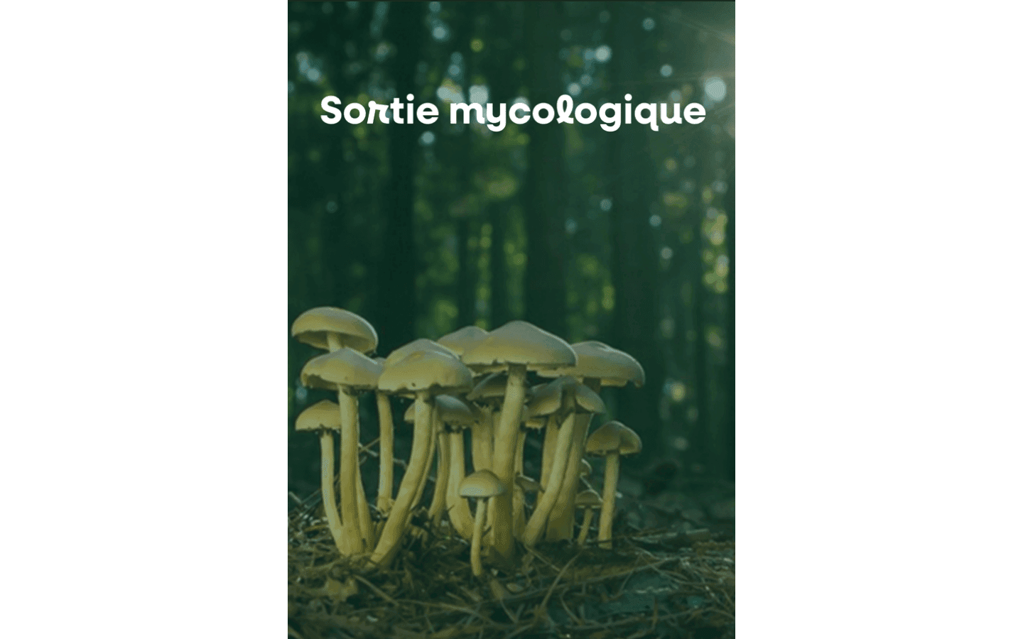MYCOLOGIQUE