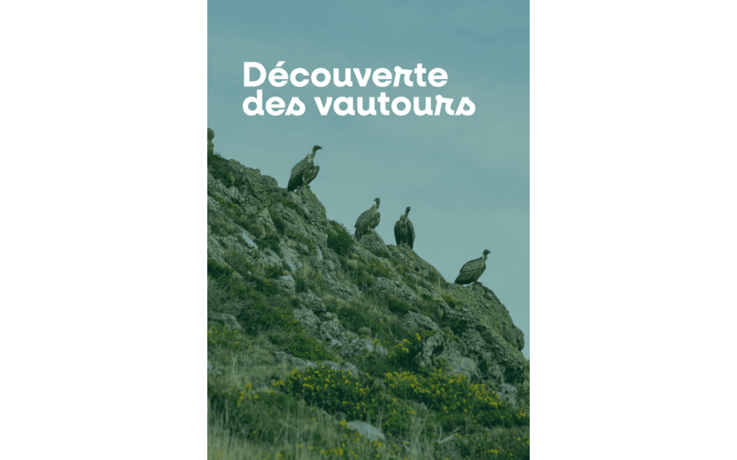 VAUTOURS