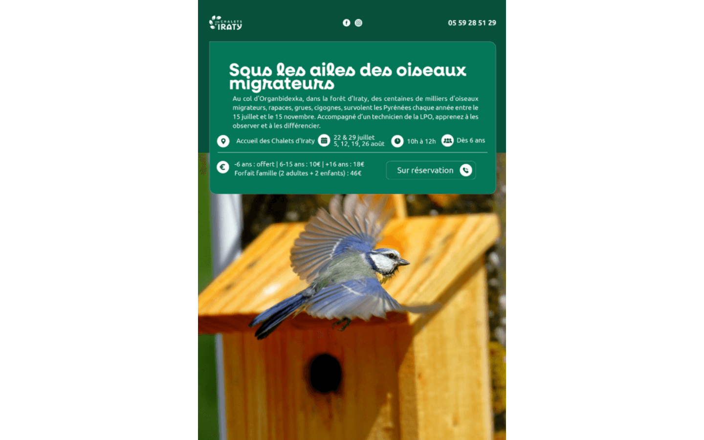 OISEAUX