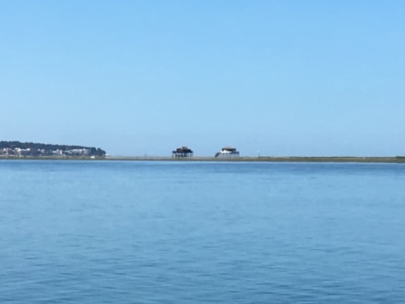FREEBAY--6--2