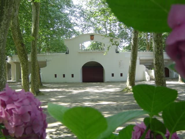 Façade arenes Amou