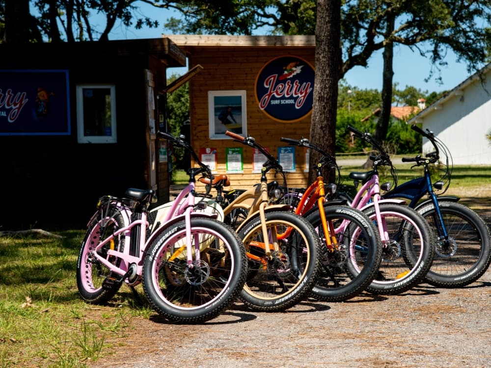 Fat bikes