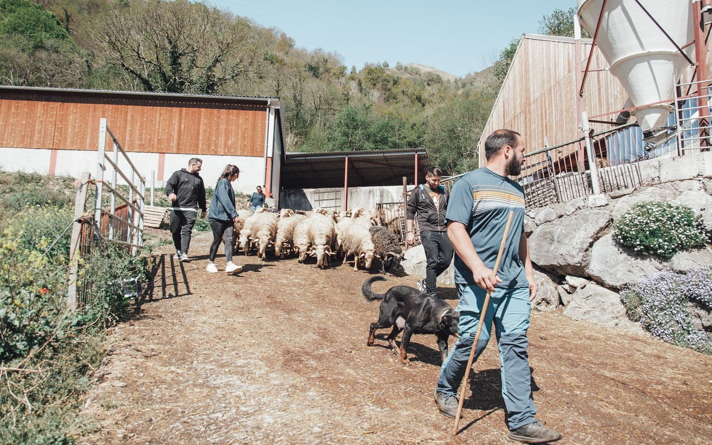 Ferme Bonnemason - Gaec Anglasimage00017