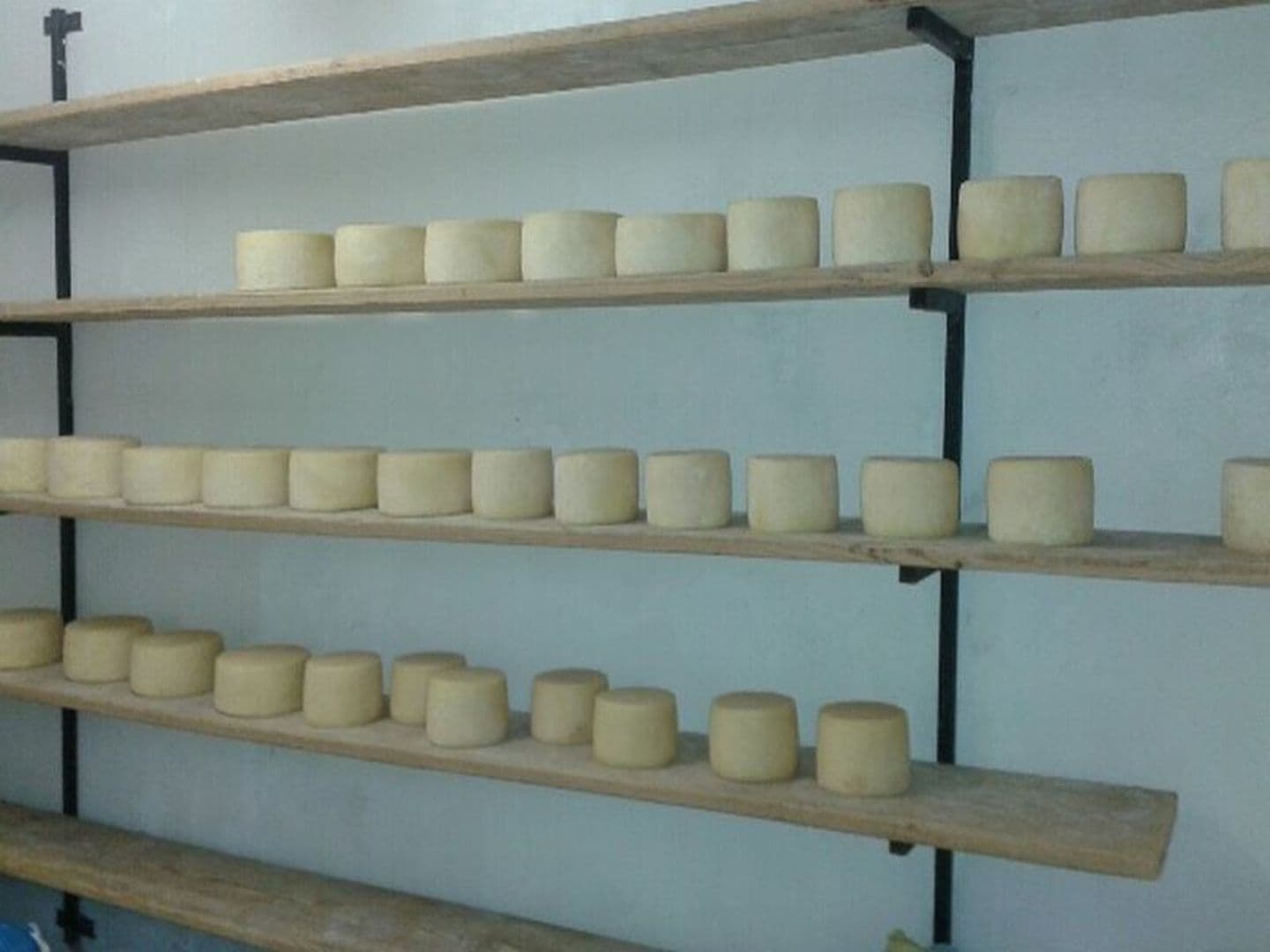 Ferme Elixaia - fromages