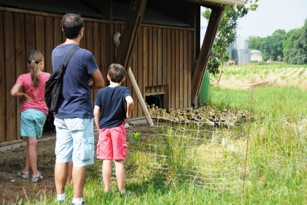 Ferme-Espaounic