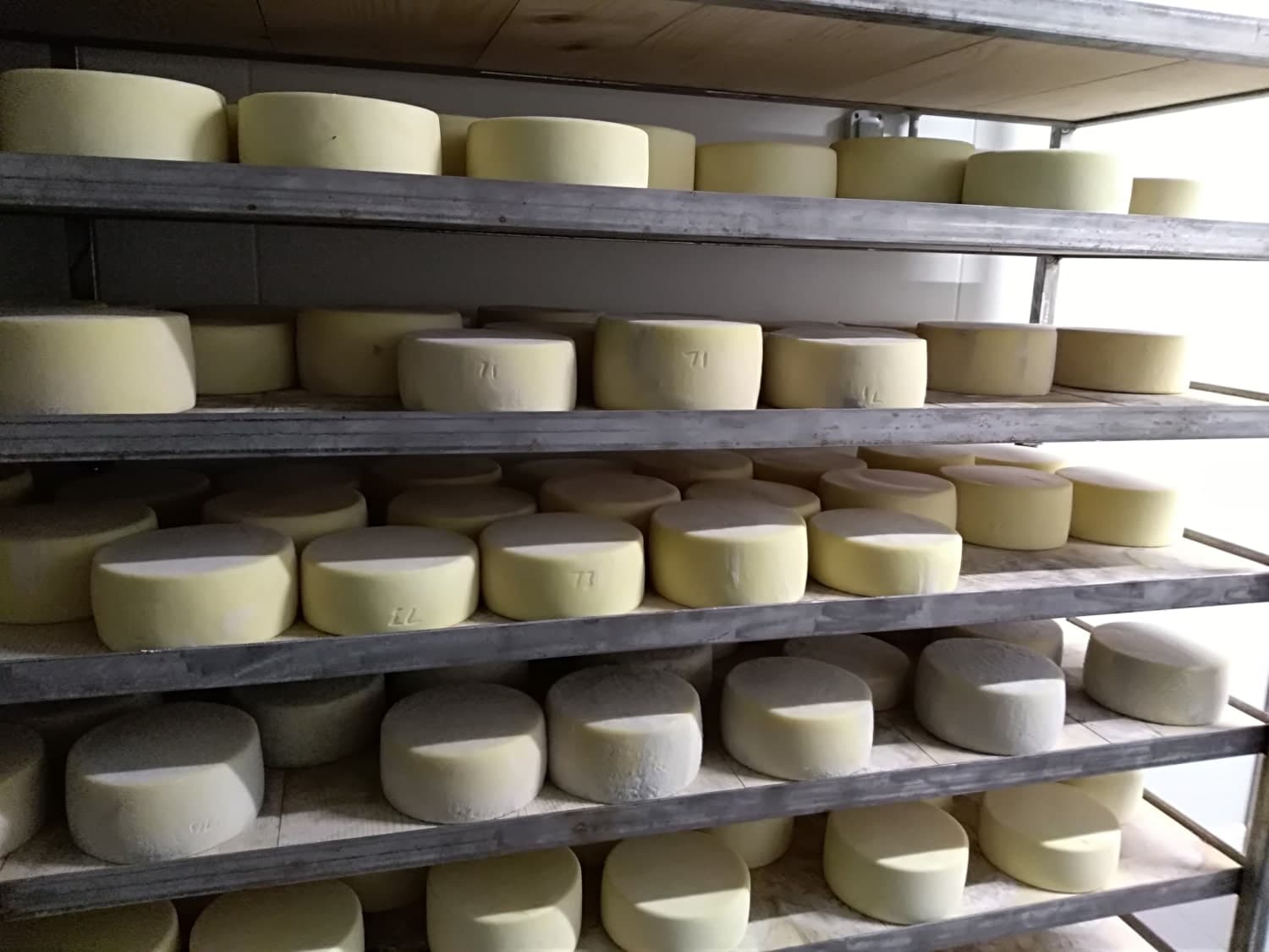 Producteur de fromage Ferme Etxepareborda