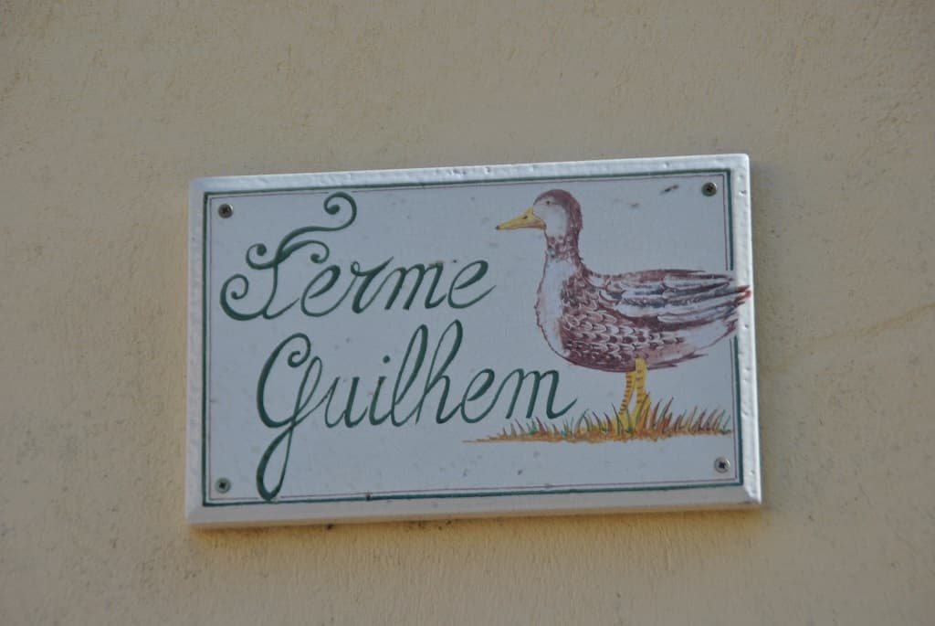 Ferme-Guilhem-Doazit-4