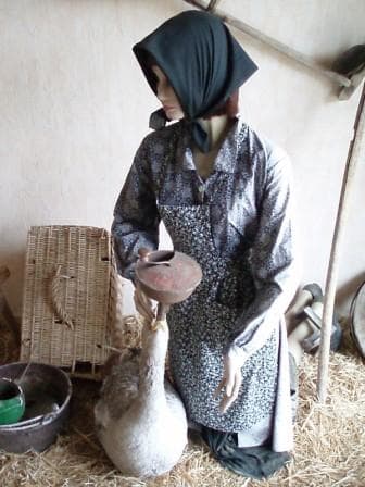 Ferme Tauzia petit musée paysan 2