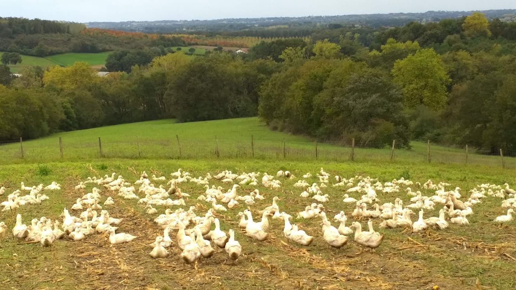 Ferme-des-eschourdes