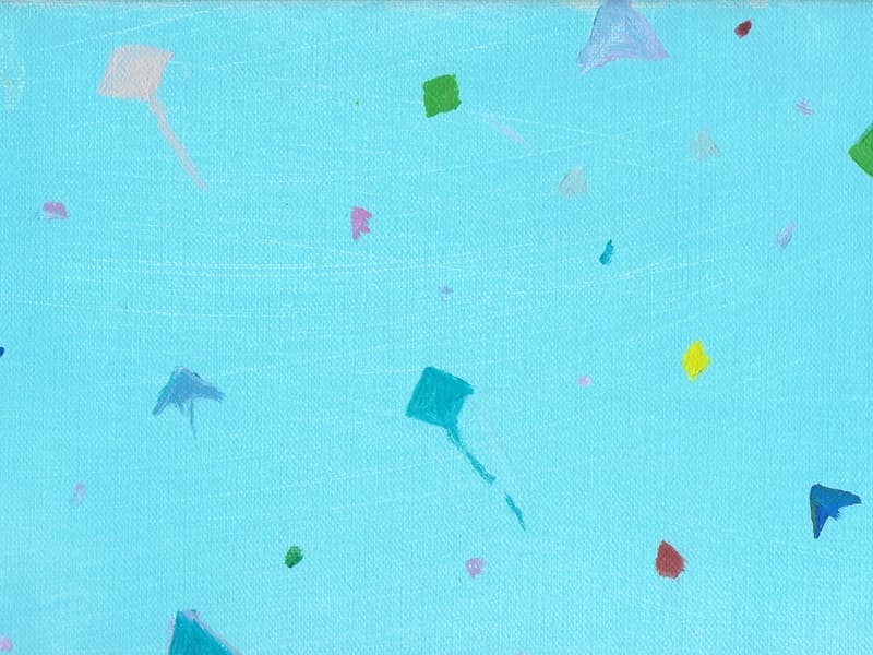 Fête des cerfs volants