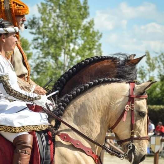 Fête-du-Cheval