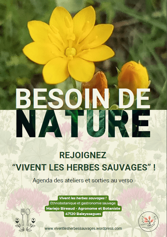 Flyer herbes sauvages
