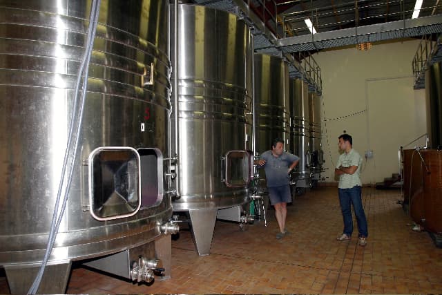 Font Vidal