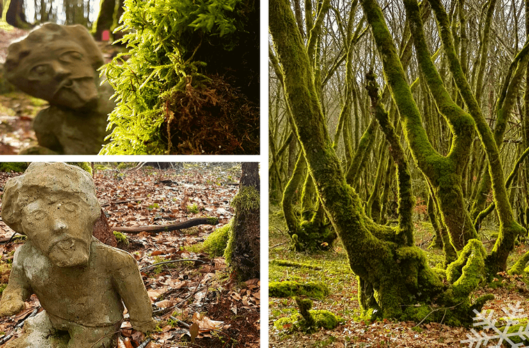 Forêt de Blanchefort