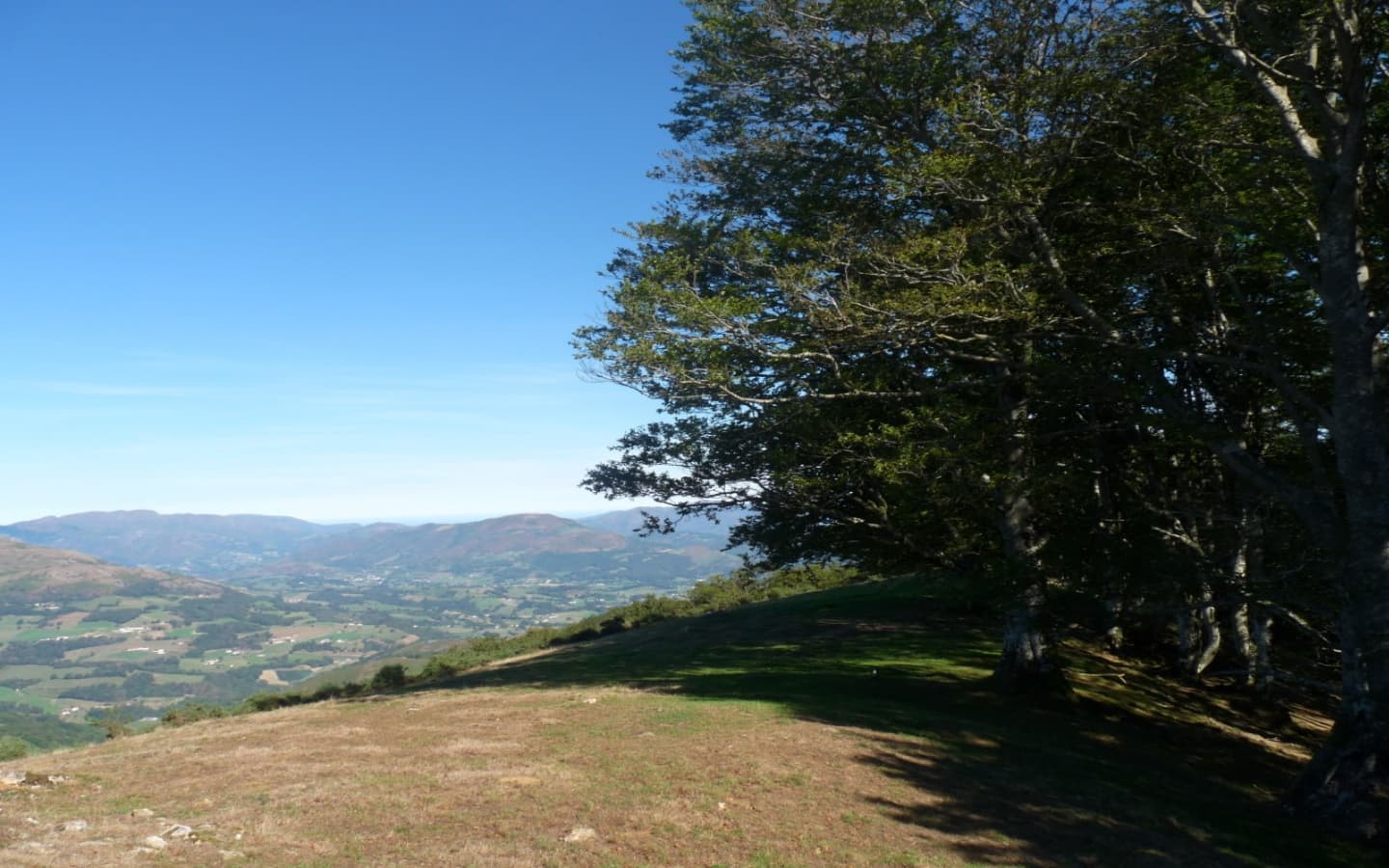 Forêt Orisson 2. Mendi Gaiak
