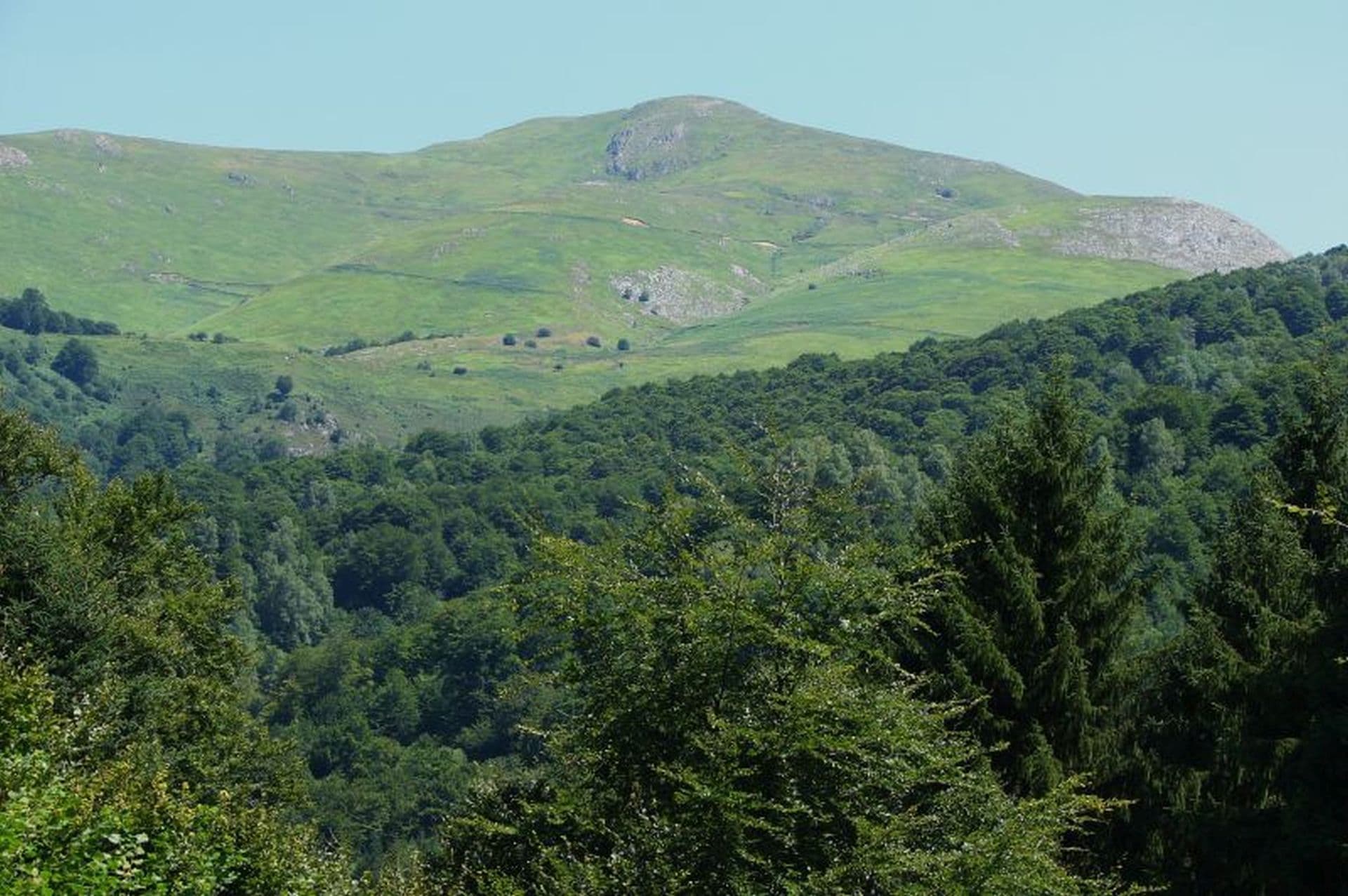 Forêt d'Issaux