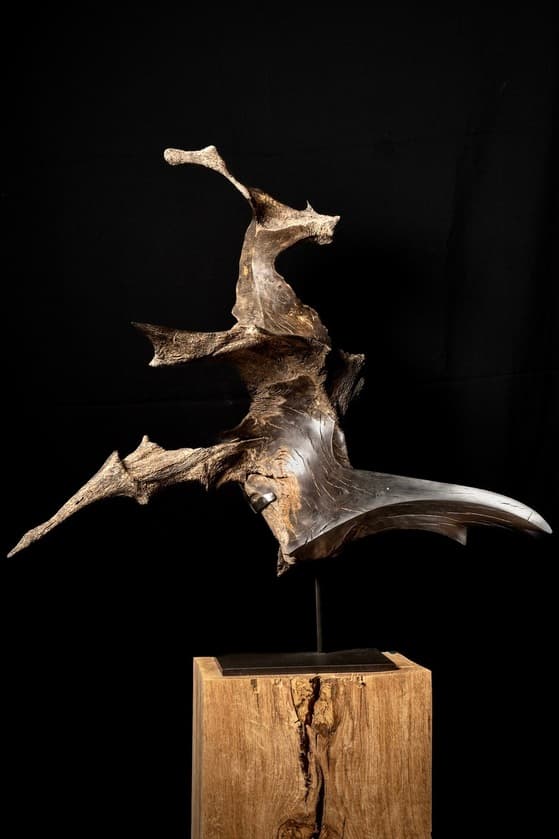 Franck Collin sculpteur Lacanau