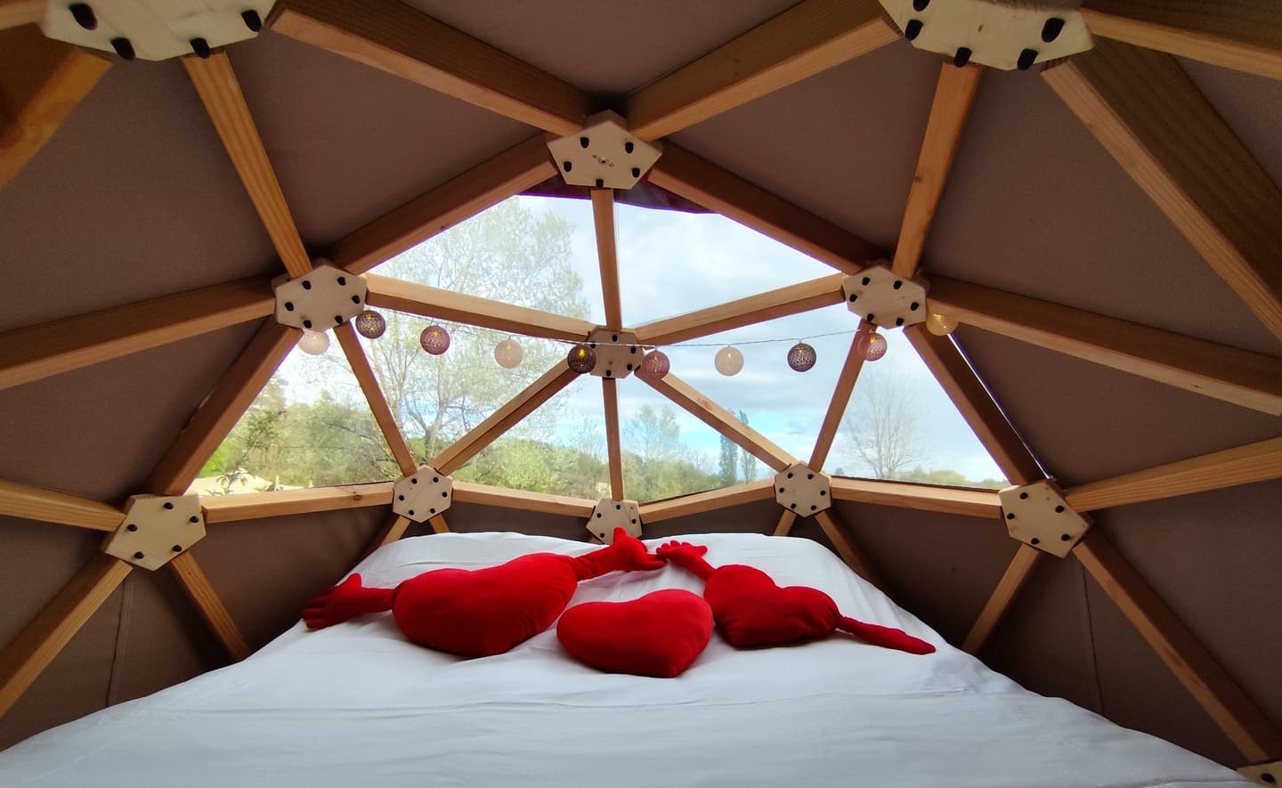 Friendly Camping and Lodges