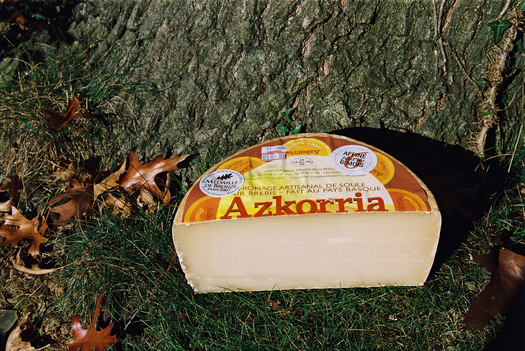 Fromage Azkorria