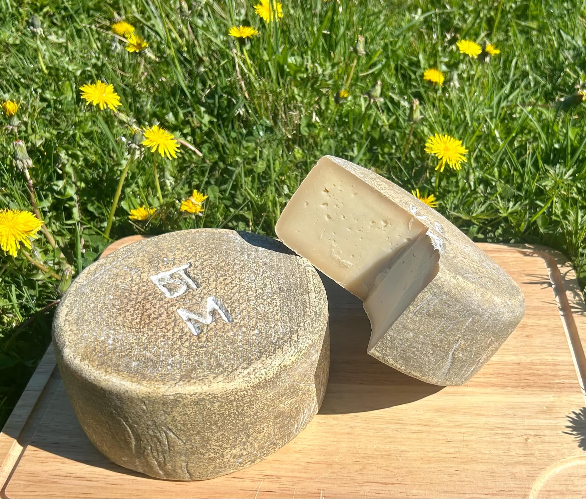 Fromage pur brebis, pur chèvre et mixte brebis chèvre à la Ferme Bidalot