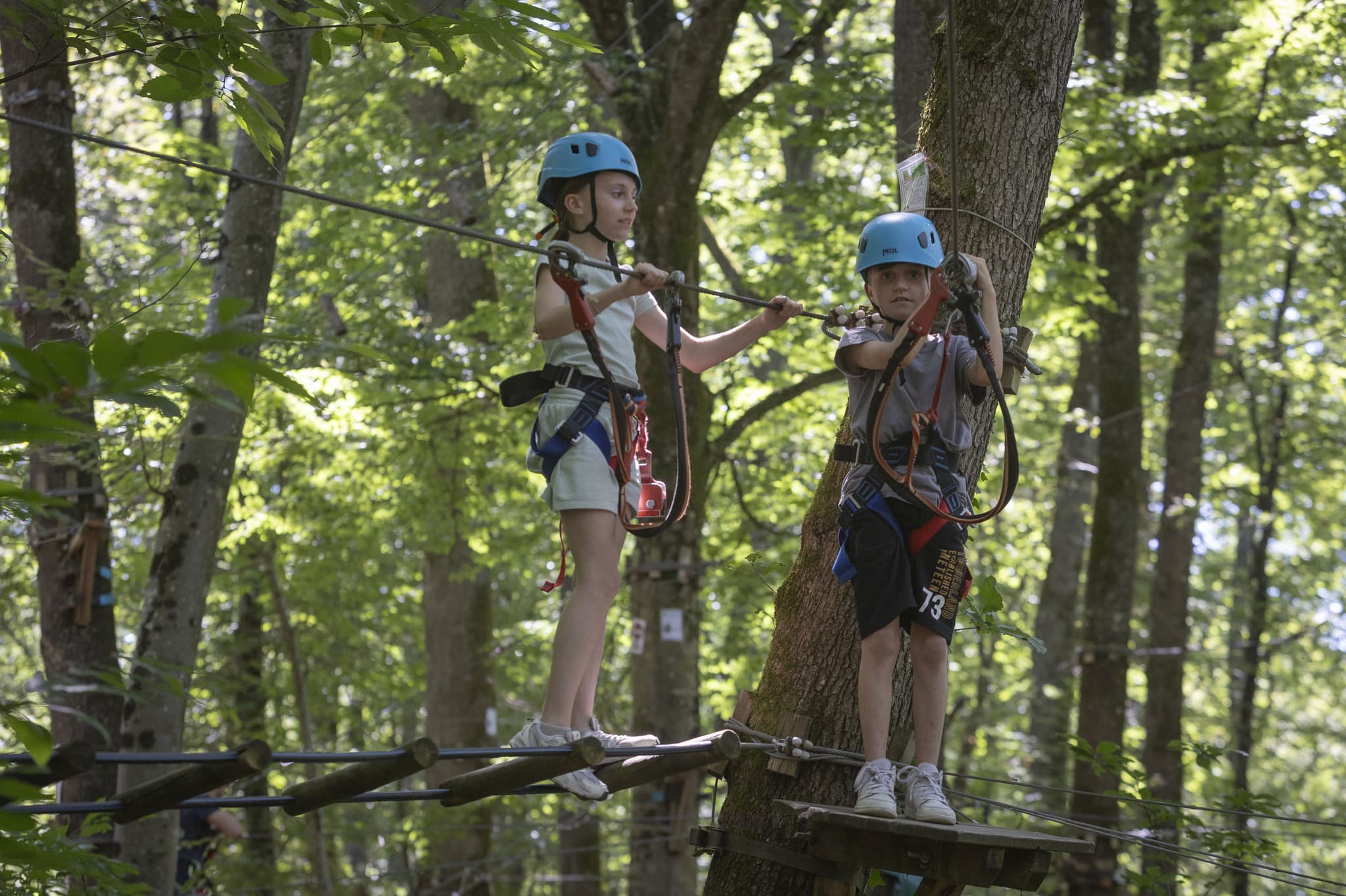 Fun Forest - 151