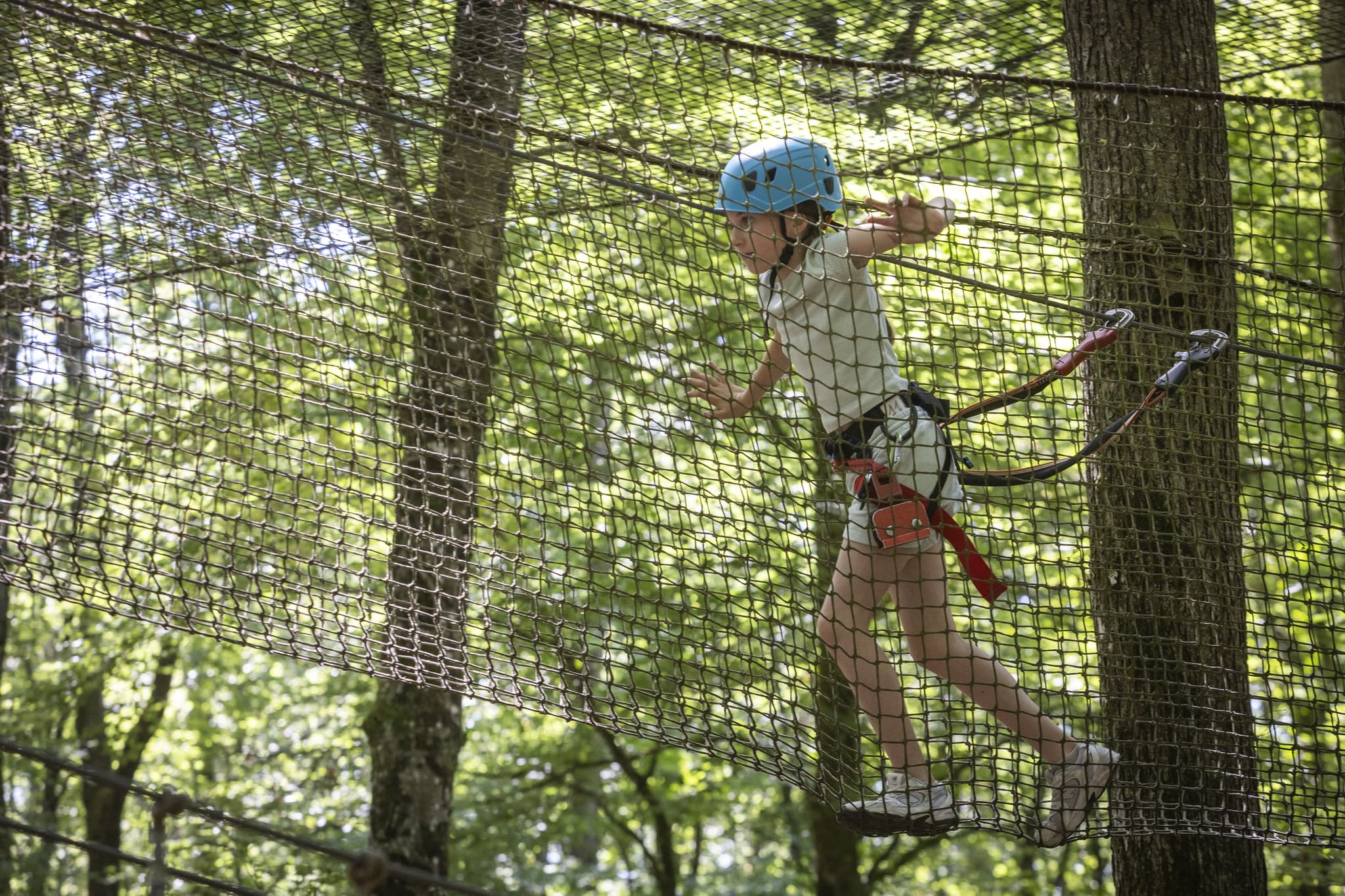 Fun Forest - 706A1108
