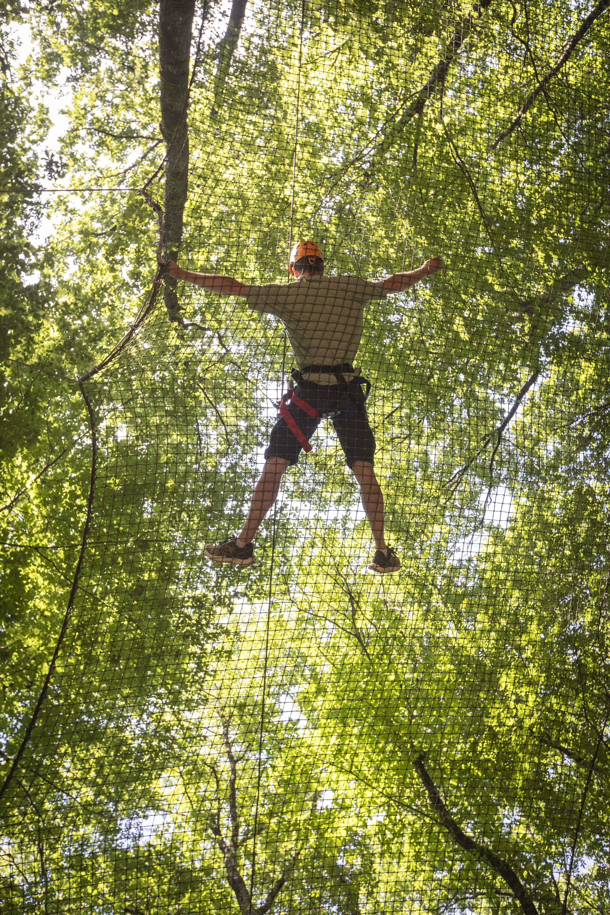 Fun Forest - 706A1402
