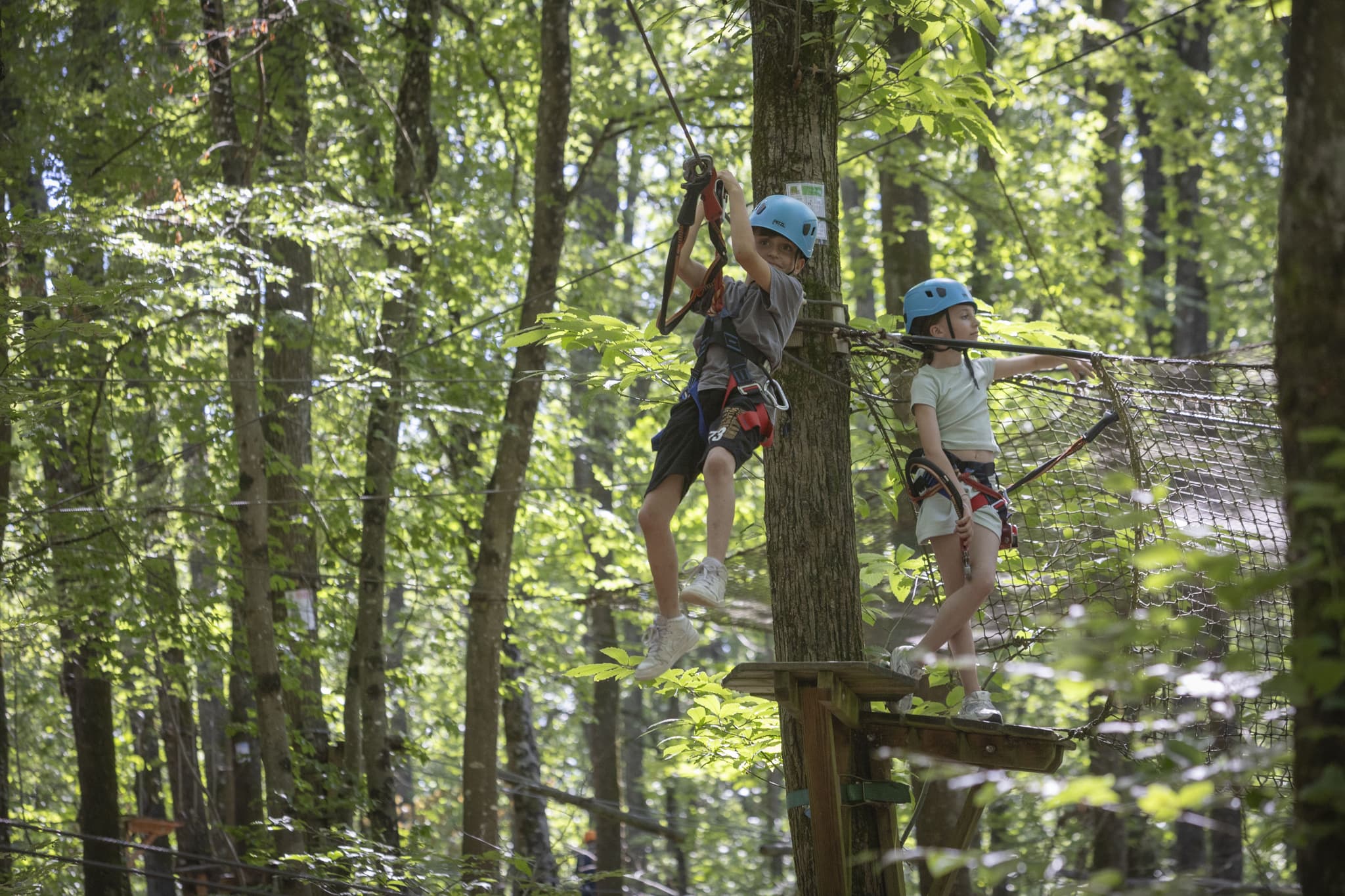 Fun Forest -706A1130