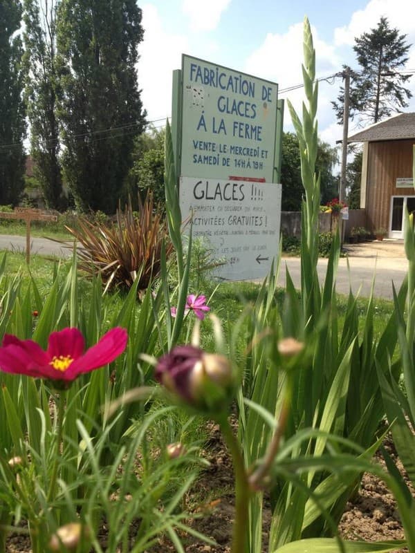 Bienvenue aux Glaces de la Ferme !
