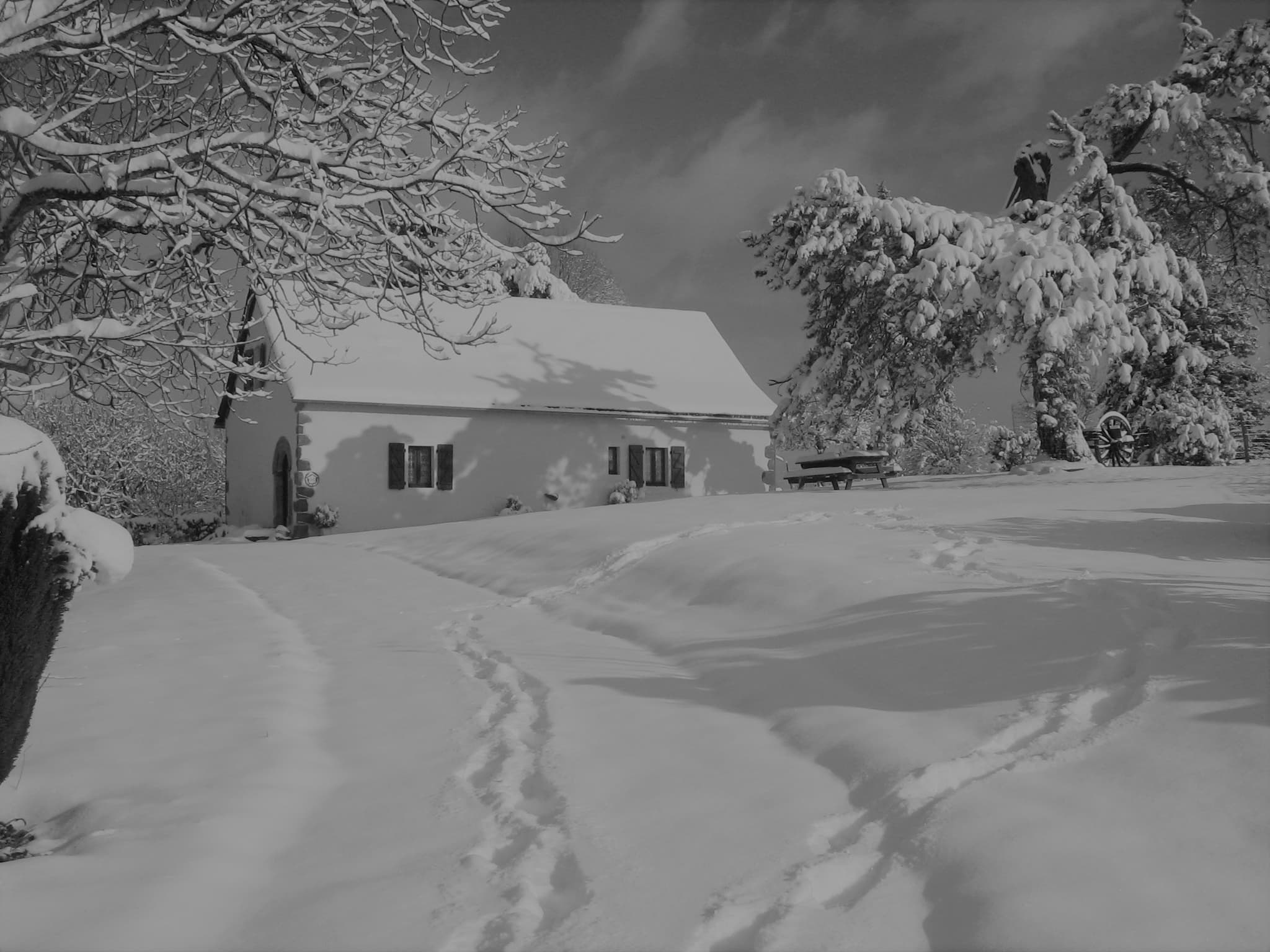 sous la neige