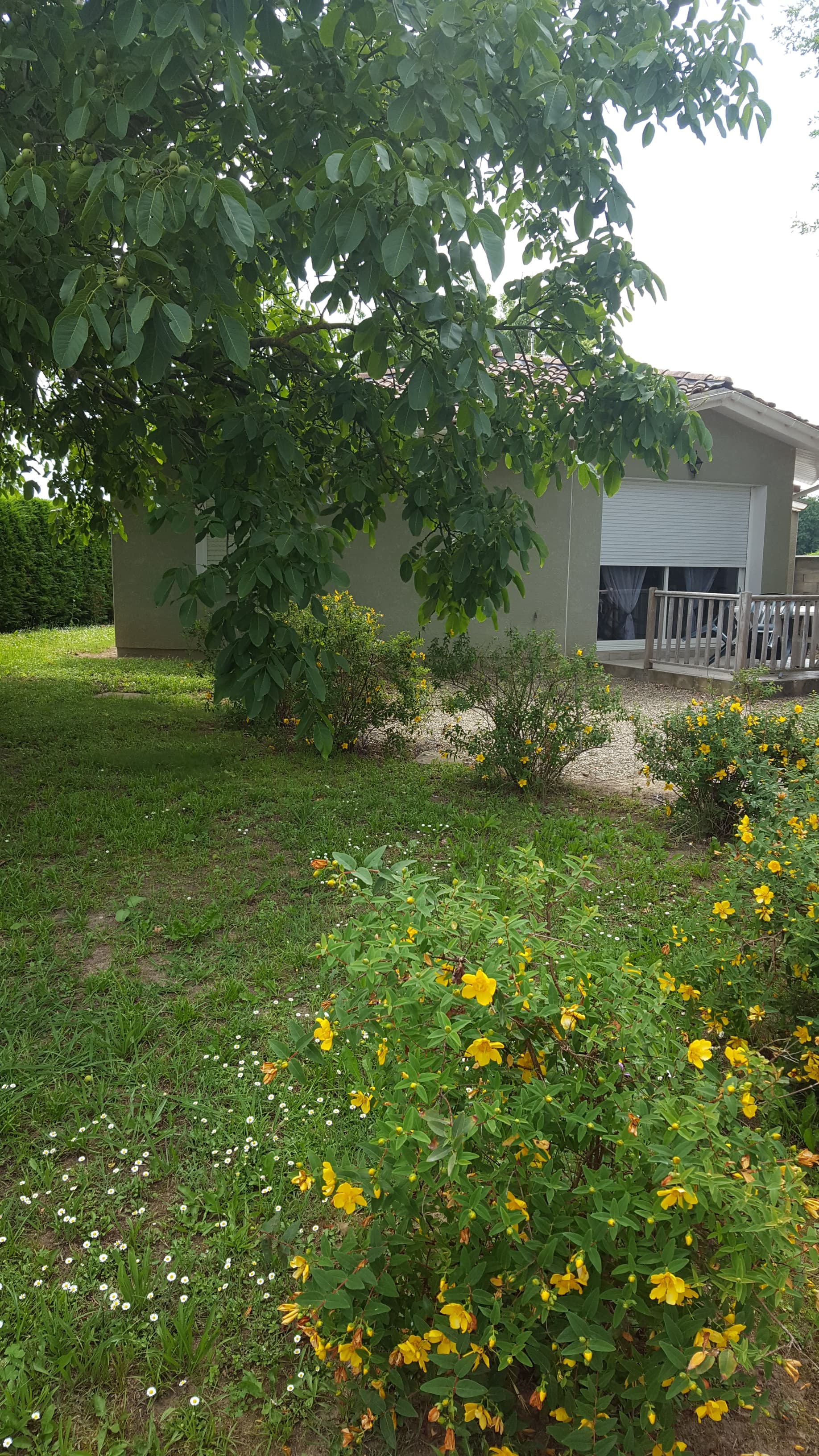 GOUSSE Gîte bleu