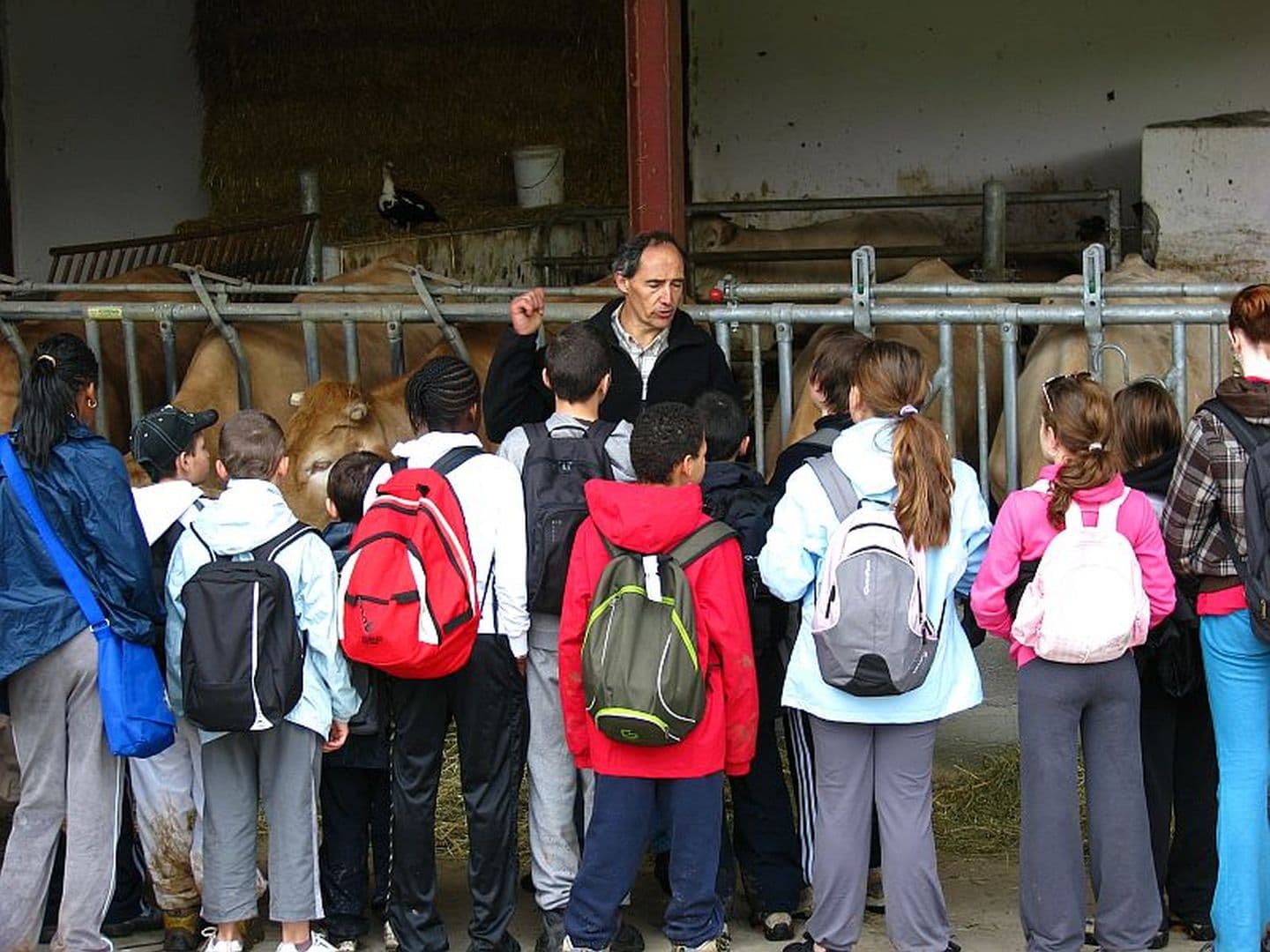 Fromage TAMBOURIN - visite scolaire