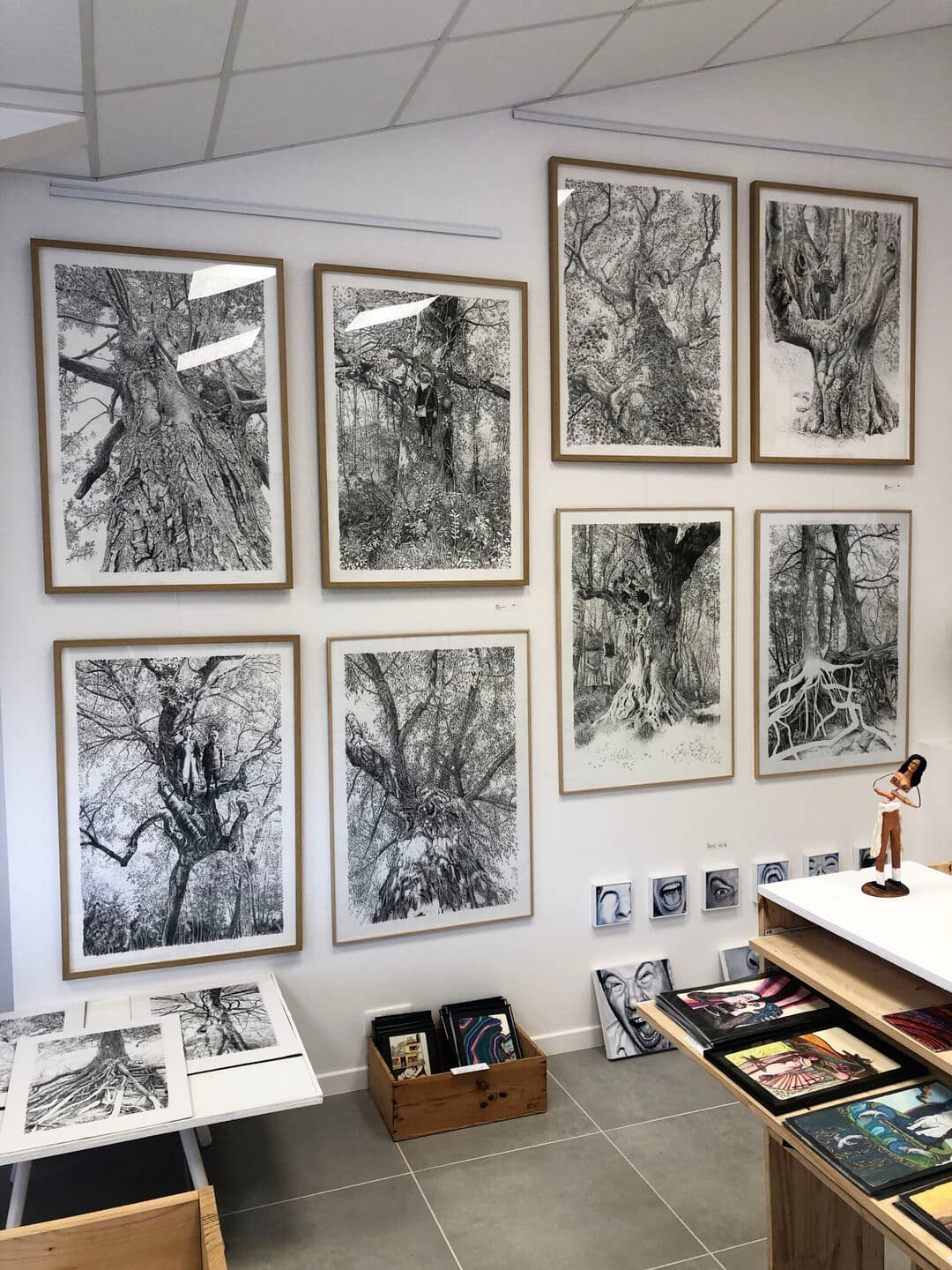 Galerie_jammes_lutton