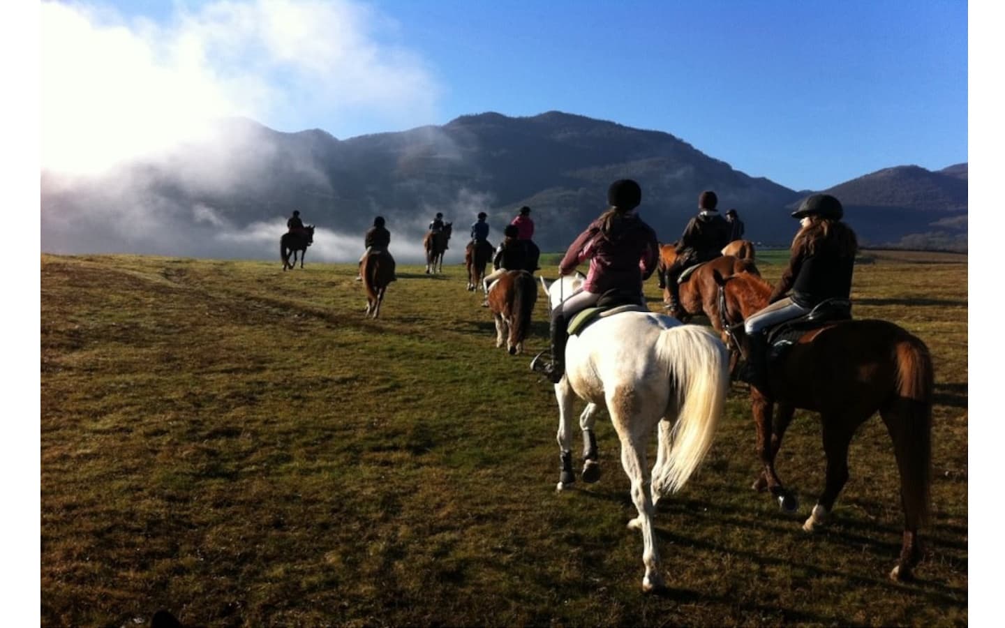 Galop