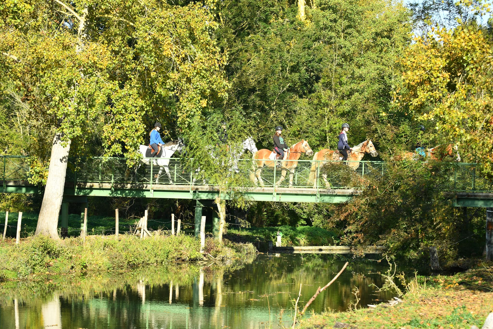 Promenade à cheval